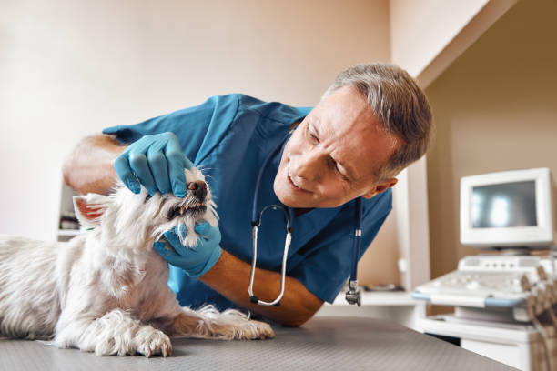 Best Emergency Wisdom Tooth Extraction in Selma, CA